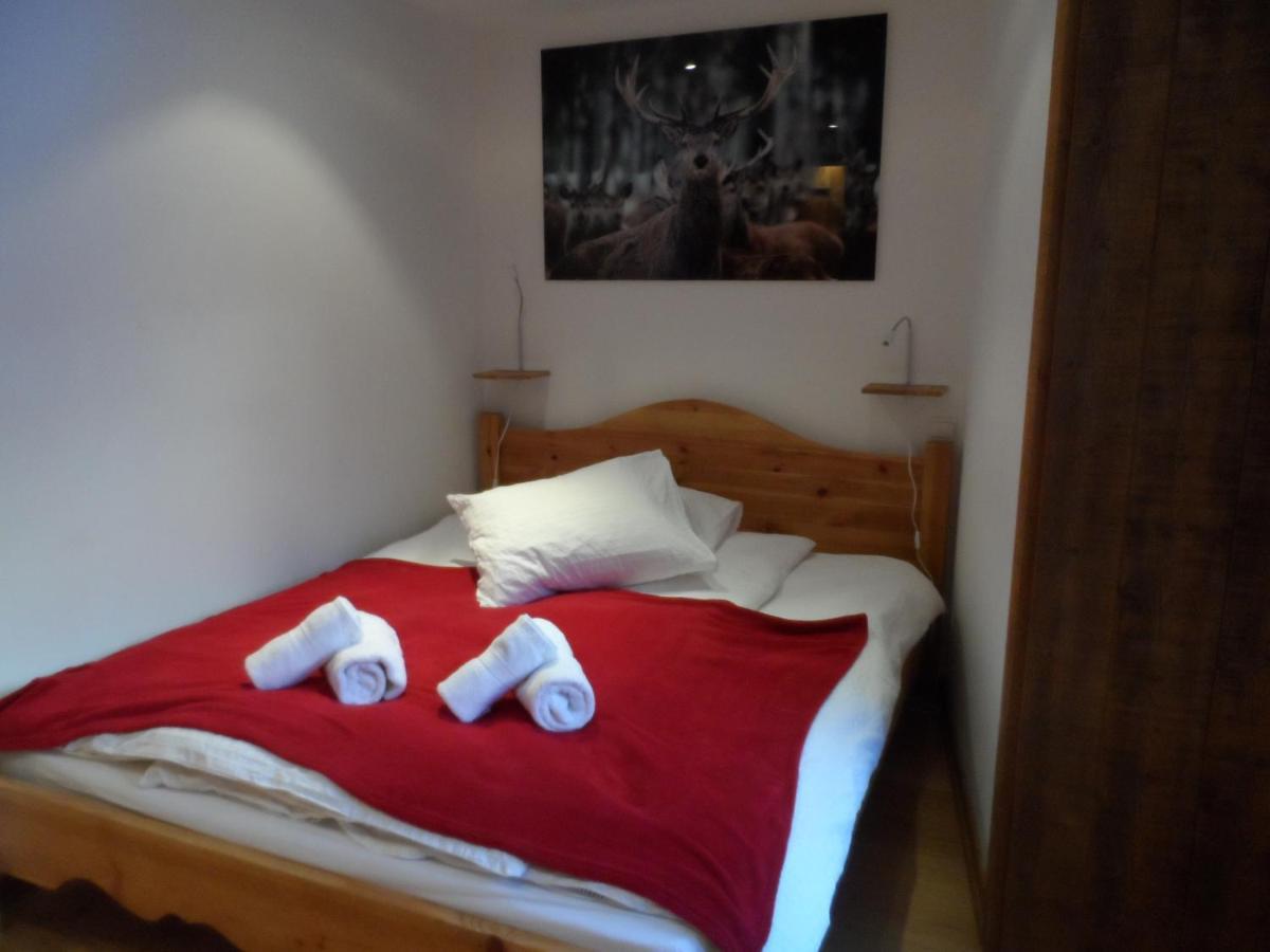 Prachtig Familie Appartement Voor 6 Personen In Het Hart Van Argentiere, Chamonix Mont-Blanc Екстериор снимка